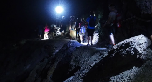 潮間帶生物如螃蟹、海星圖示