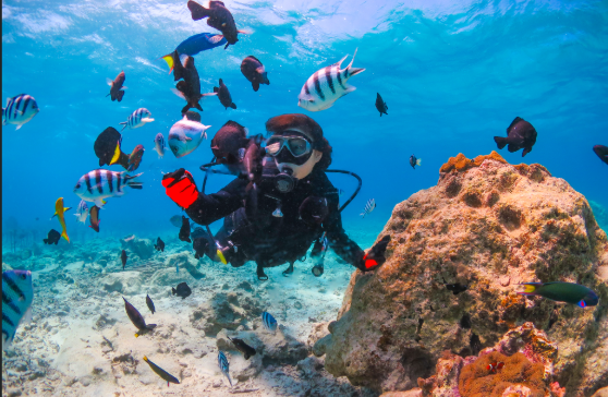 浮潛面罩和呼吸管圖示